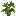 Pousse de chêne